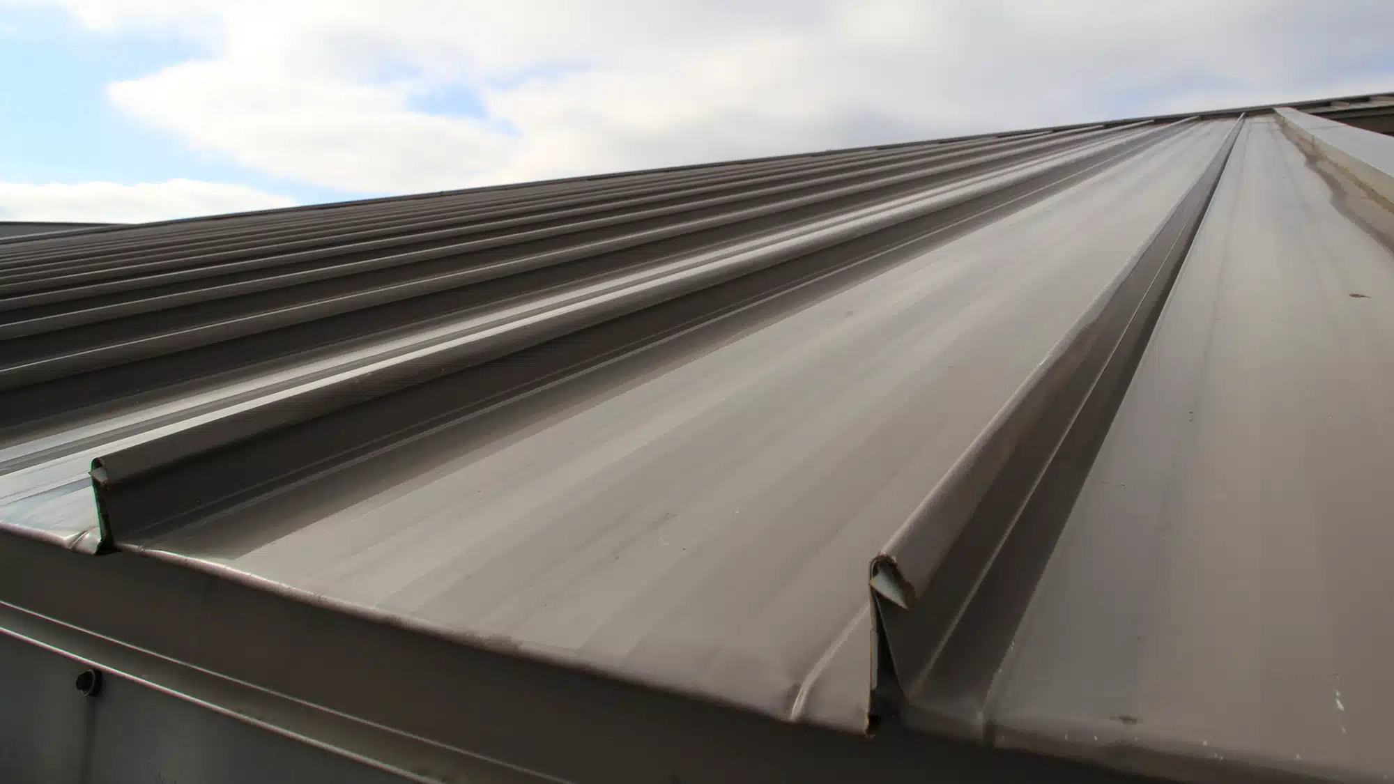 Metal Roofing